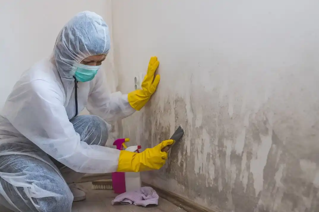 water damage restoration service West Old Town